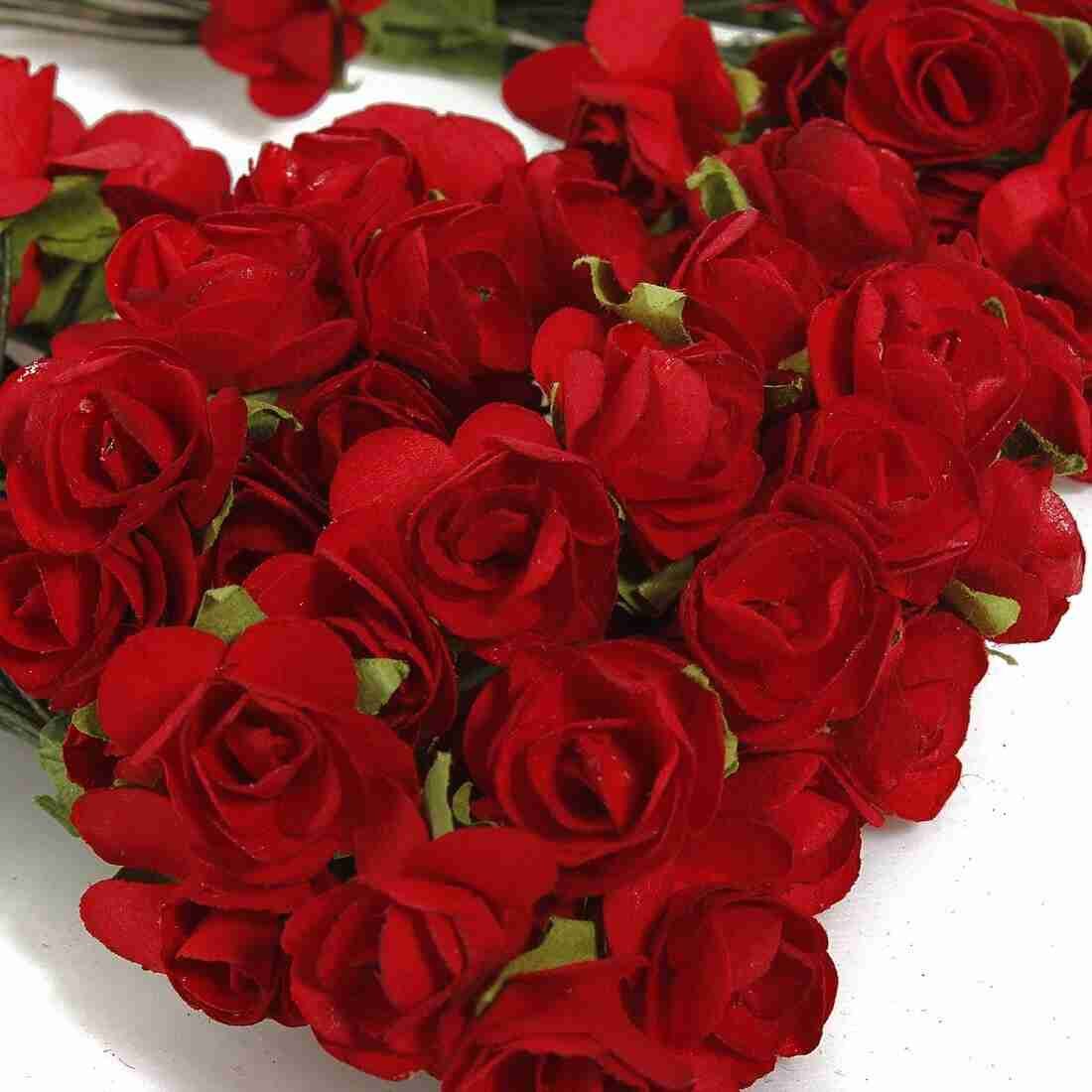 Rosas Vermelhas Bouquet Bouquet de rosas vermelhas da cigana