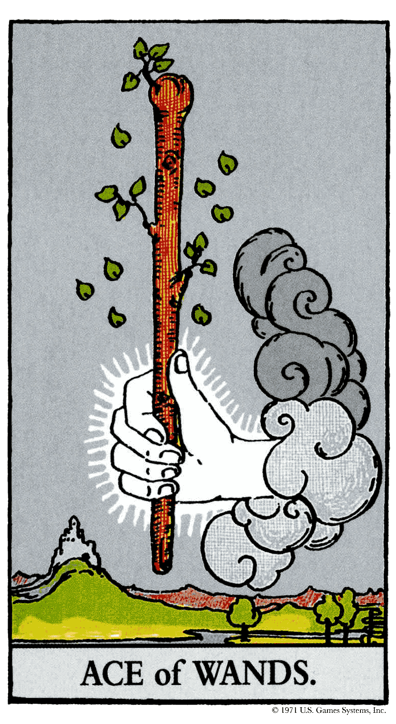 Tarot Ás de Paus Carta do Tarot Ás de Paus Arcano Menor